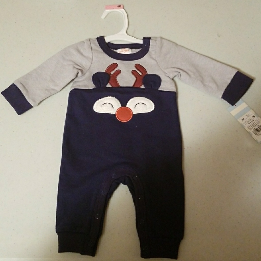 New born reindeer
